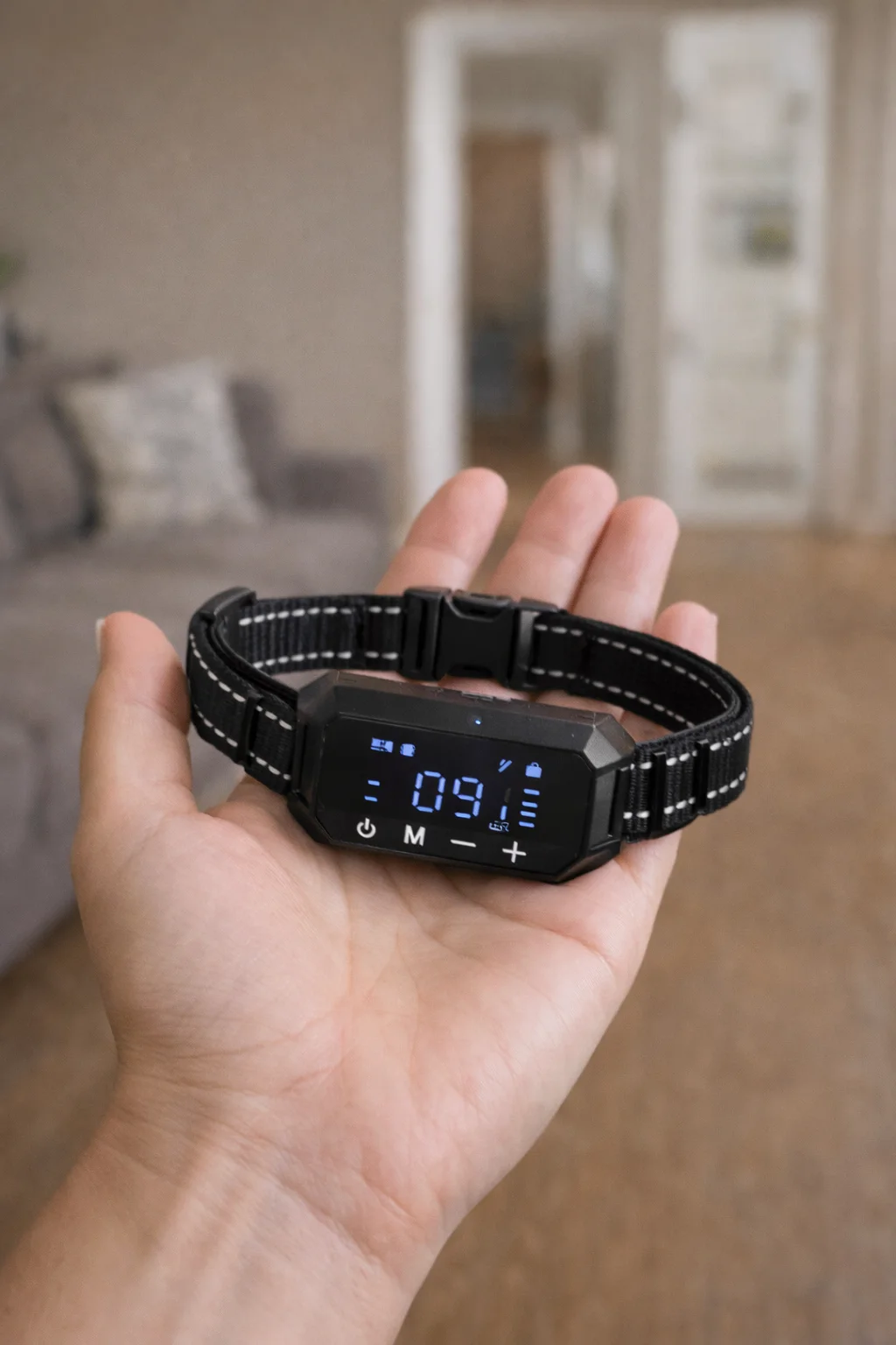 Additional photo: collar in hand